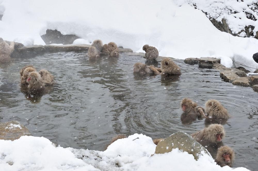 Yudanaka Seifuso Otel Yamanouchi  Dış mekan fotoğraf